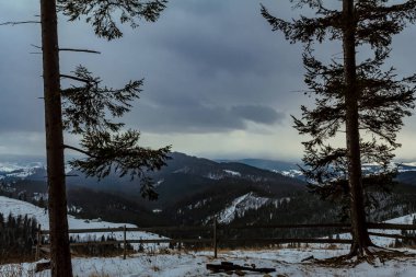 Karpatlar'ın kış manzarası