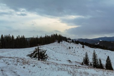 beautiful winter scenery with a mountain road and a tree covered by white snow