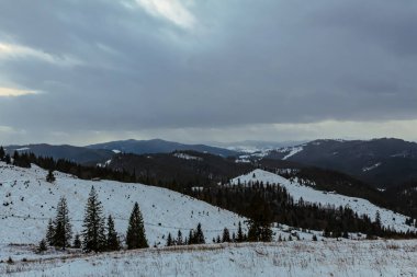 Karpatların güzel kış dağları