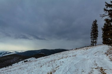 Ağaçlar ve karla kaplı dağlarda kış