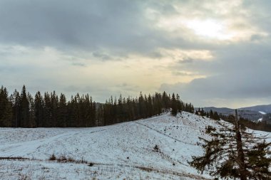 Karla kaplı ağaçlarla kaplı kış manzarası