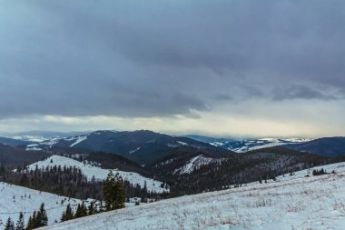 Karpat Dağları 'nın kış manzarası. ukraine