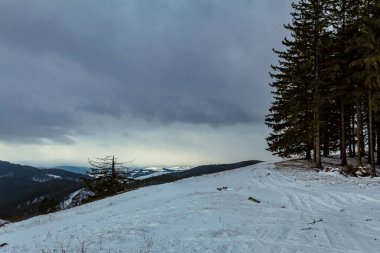 Kar ve ağaçlarla dolu güzel kış manzarası