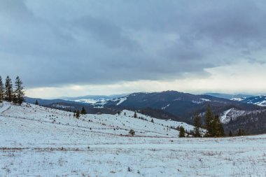 Karla kaplı ağaçlarla kaplı kış manzarası