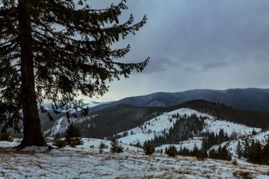 Ağaçlar ve dağlarla kaplı karlı kış manzarası