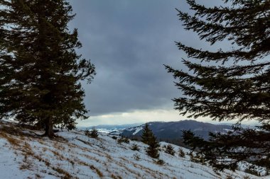 Karla kaplı ağaçlarla kaplı kış manzarası