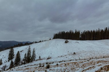 Güzel bir karlı dağ görüntüsü