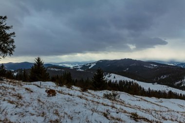 a beautiful landscape with mountains in the background