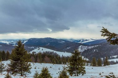 winter mountain scenery with snowy fir forest and cloudy sky.