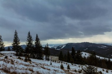 Arkasında bir dağ olan güzel bir manzara.