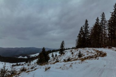 winter landscape with a mountain in the background in the mountains. winter carpathians, ukraine.