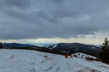 Güzel bir dağ sırası olan kış manzarası