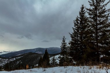 winter landscape with snowy mountain range in the background