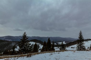 Dağlardaki Karpatlar 'da kış manzarası