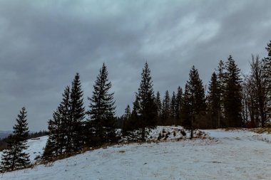 Kış dağı manzarası, Karpat Dağları, Ukrayna