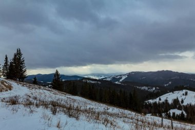 snow covered winter forest with trees and mountain