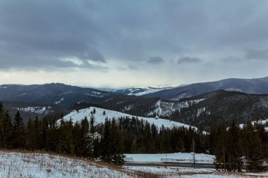 Karlı ve ağaçlı dağ manzarası