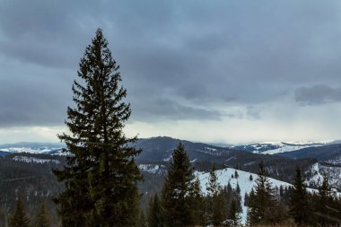Karpat Dağlarının güzel kış manzarası.