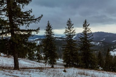 winter landscape in polish tatra mountains