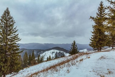 Kar - ormandaki tepeli dağlar