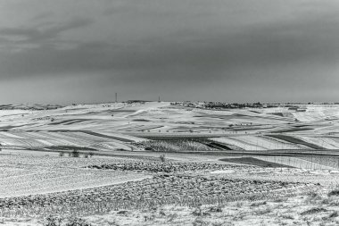 Umman misk kedisi Eski kale ve boş gökyüzü