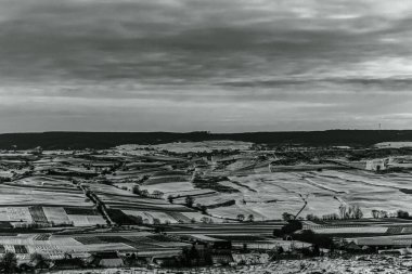 Landscapes, Forest, Carpathians, Photos of nature -Black and white photos, monochrome photos - Europe, Eastern Europe