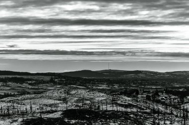 Karla kaplı ağaçlarla kaplı kış manzarası