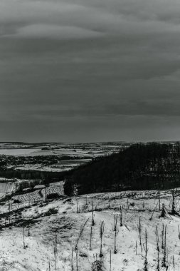 Landscapes, Forest, Carpathians, Photos of nature -Black and white photos, monochrome photos - Europe, Eastern Europe