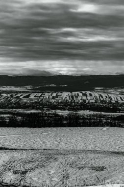 Landscapes, Forest, Carpathians, Photos of nature -Black and white photos, monochrome photos - Europe, Eastern Europe