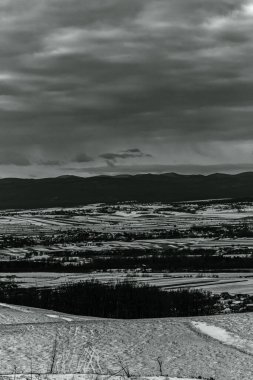 Landscapes, Forest, Carpathians, Photos of nature -Black and white photos, monochrome photos - Europe, Eastern Europe