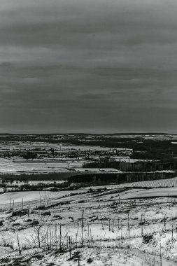 Landscapes, Forest, Carpathians, Photos of nature -Black and white photos, monochrome photos - Europe, Eastern Europe