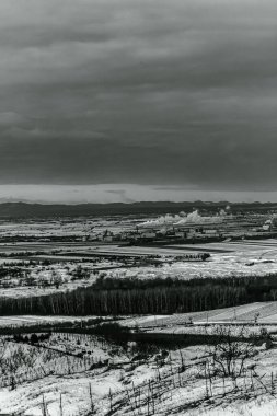 Landscapes, Forest, Carpathians, Photos of nature -Black and white photos, monochrome photos - Europe, Eastern Europe