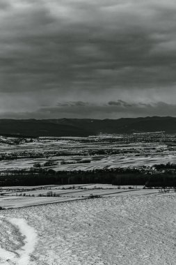 Landscapes, Forest, Carpathians, Photos of nature -Black and white photos, monochrome photos - Europe, Eastern Europe