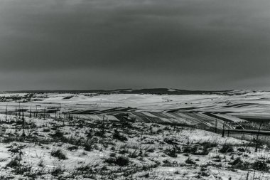 Landscapes, Forest, Carpathians, Photos of nature -Black and white photos, monochrome photos - Europe, Eastern Europe