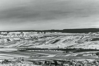 Landscapes, Forest, Carpathians, Photos of nature -Black and white photos, monochrome photos - Europe, Eastern Europe