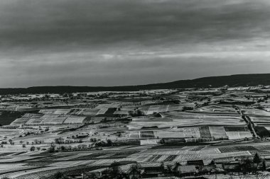 Landscapes, Forest, Carpathians, Photos of nature -Black and white photos, monochrome photos - Europe, Eastern Europe