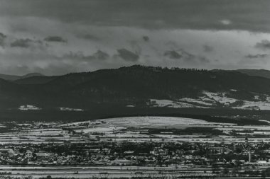 Landscapes, Forest, Carpathians, Photos of nature -Black and white photos, monochrome photos - Europe, Eastern Europe