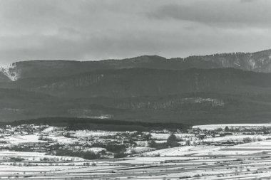 Landscapes, Forest, Carpathians, Photos of nature -Black and white photos, monochrome photos - Europe, Eastern Europe