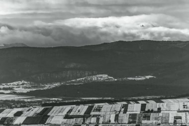 Landscapes, Forest, Carpathians, Photos of nature -Black and white photos, monochrome photos - Europe, Eastern Europe