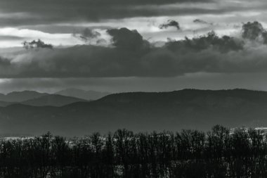 Landscapes, Forest, Carpathians, Photos of nature -Black and white photos, monochrome photos - Europe, Eastern Europe