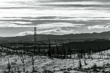 Landscapes, Forest, Carpathians, Photos of nature -Black and white photos, monochrome photos - Europe, Eastern Europe