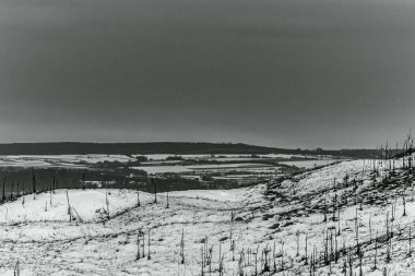 Siyah ve beyaz fotoğraf kış manzara