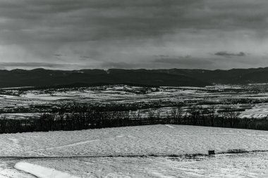 Karla kaplı ağaçları olan güzel bir manzara.