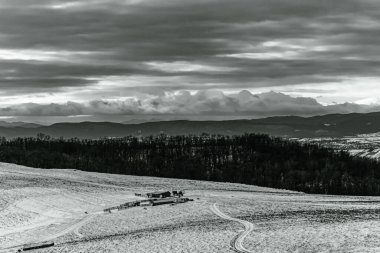 Karla kaplı ağaçlarla kaplı kış manzarası