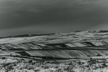 Ağaçlarla dolu bir tarlası ve dağları olan güzel bir manzara.