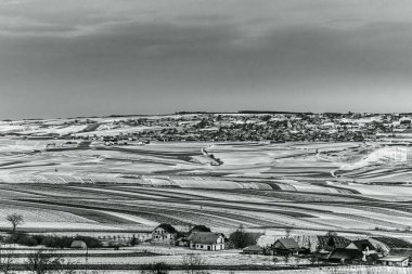 Bir tarla ve ağaçla boş bir arazinin gri tonlu görüntüsü.