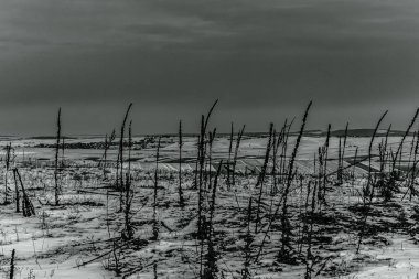 Doğanın güzel manzarası