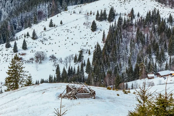 Karpatya dağlarında karlı dağları olan güzel kış manzarası, Ukrayna.