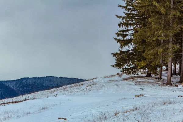 Dağlardaki güzel kış manzarası.