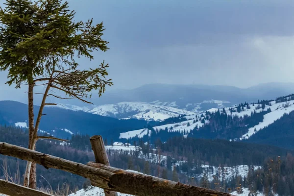 Karpatlar 'daki güzel dağ manzarası, Ukrayna
